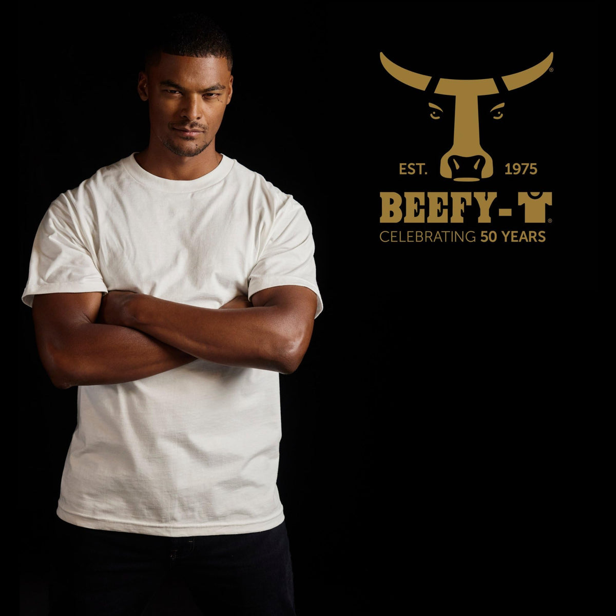 Hanes Men's Beefy-t Heavyweight Cotton T-Shirt 2 Pack